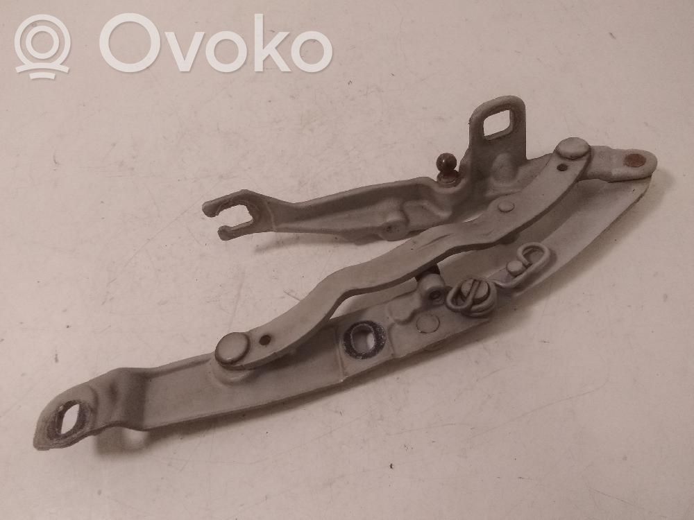 Tailgate/trunk/boot hinge   7016179