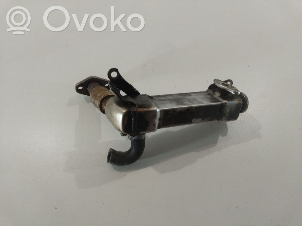 EGR aušintuvas   L7305003,005685,DT787