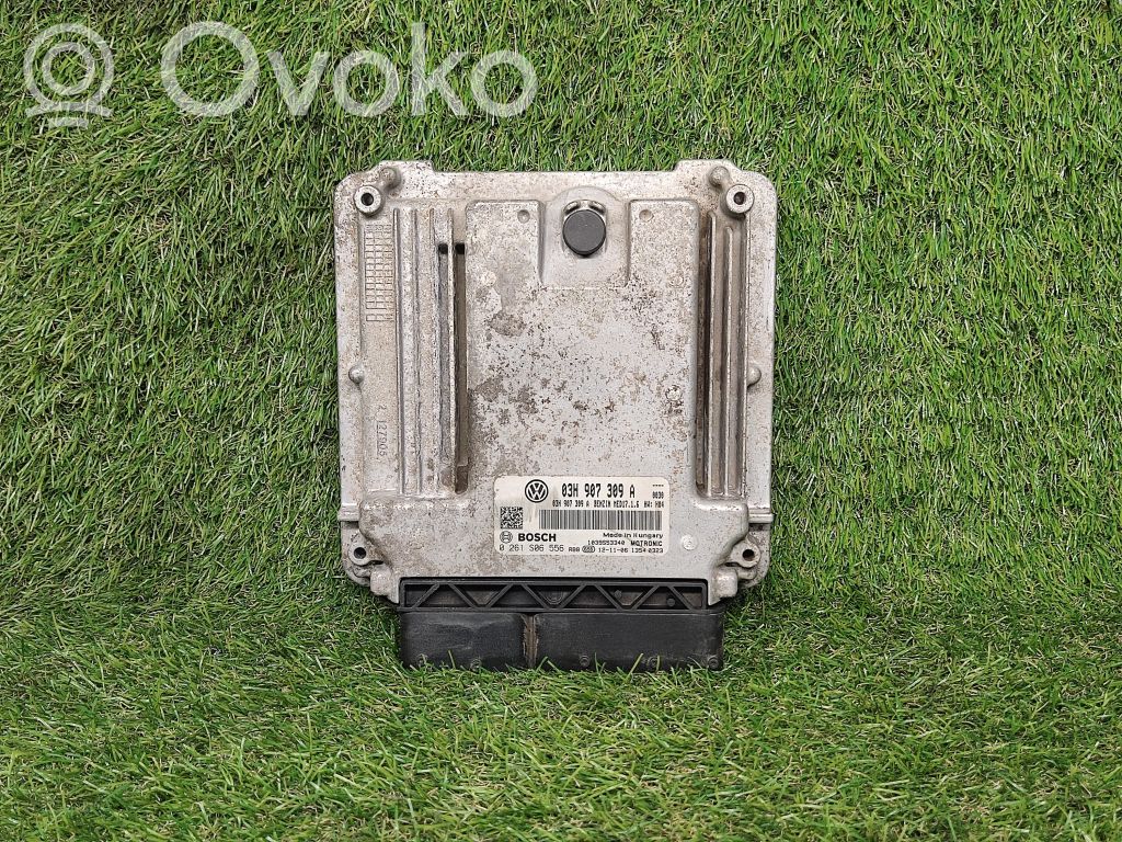 Engine control unit/module ECU   03H907309A,0261S06556