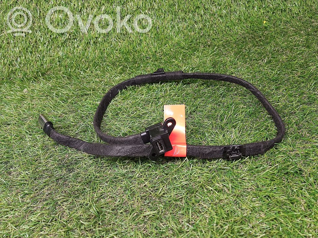 Tesla Model 3 Enchufe conector USB 