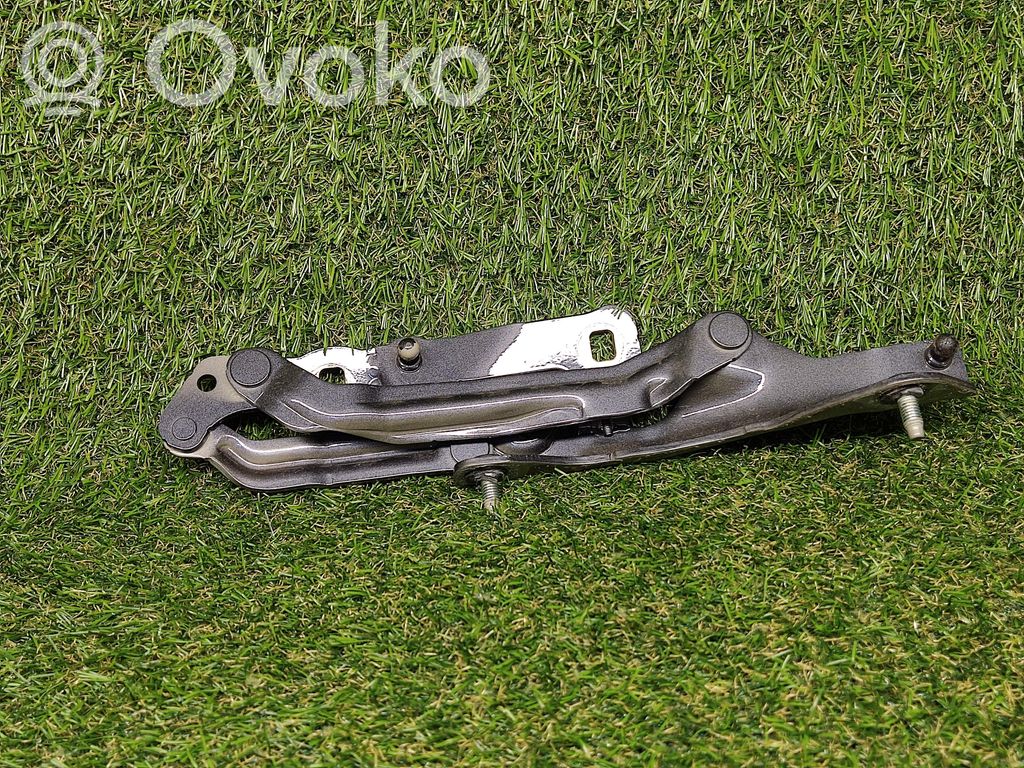 Tailgate/trunk/boot hinge   155148100E