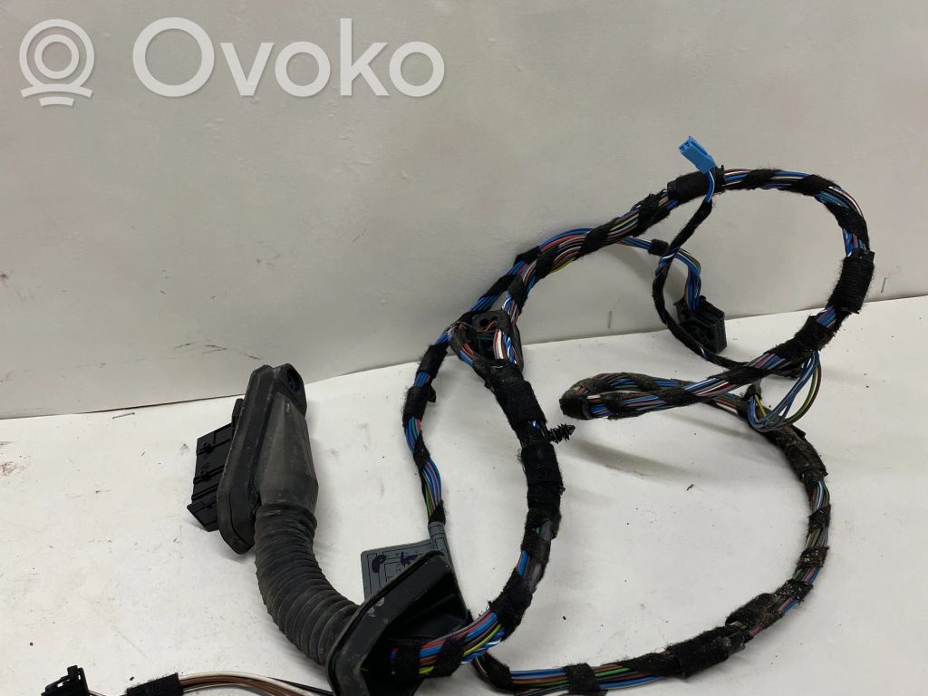 Front door wiring loom   6928651,EES54T,11107810