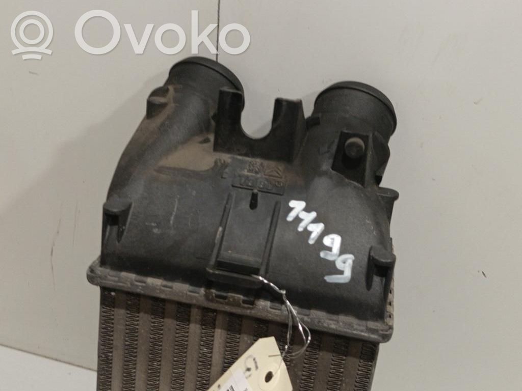 Interkūlerio radiatorius   00000384G5