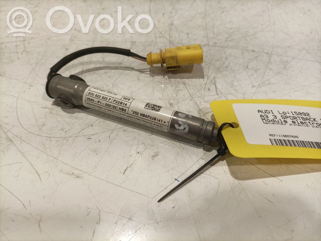 Other control units/modules   8V0823823F