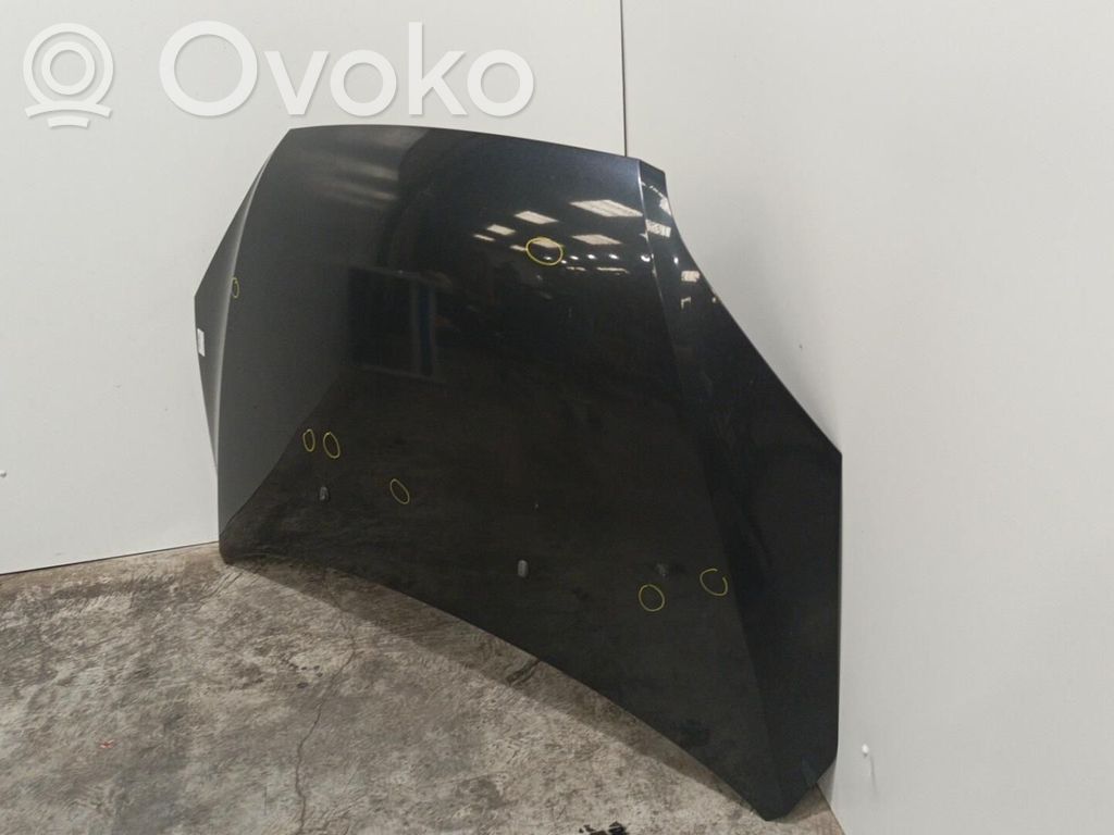 Engine bonnet/hood   41617318364