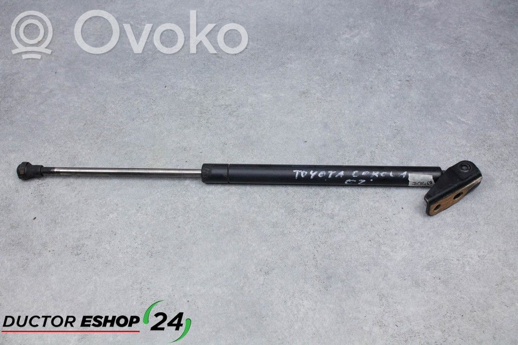 Tailgate/trunk strut/damper   50480V,0585N