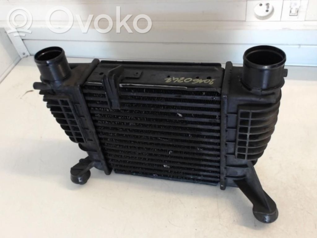 Interkūlerio radiatorius   144619U20A
