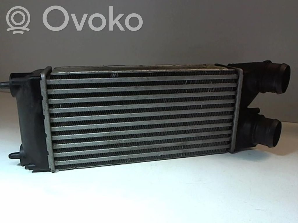 Interkūlerio radiatorius   0384L4