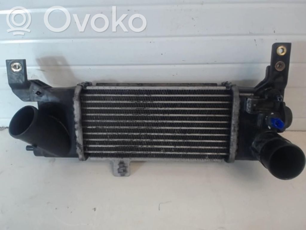Starpdzesētāja radiators