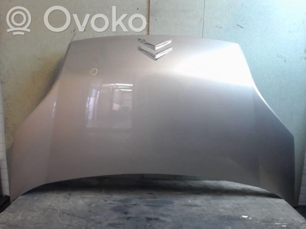 Engine bonnet/hood   7901Q1
