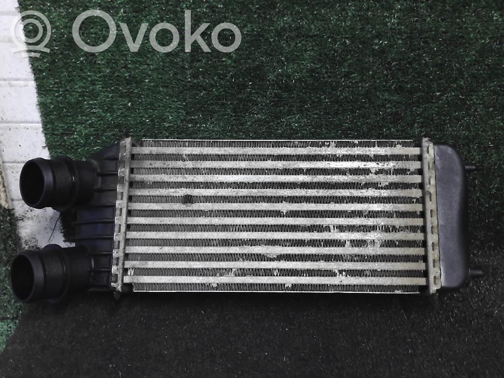 Peugeot Expert Intercooler radiator 