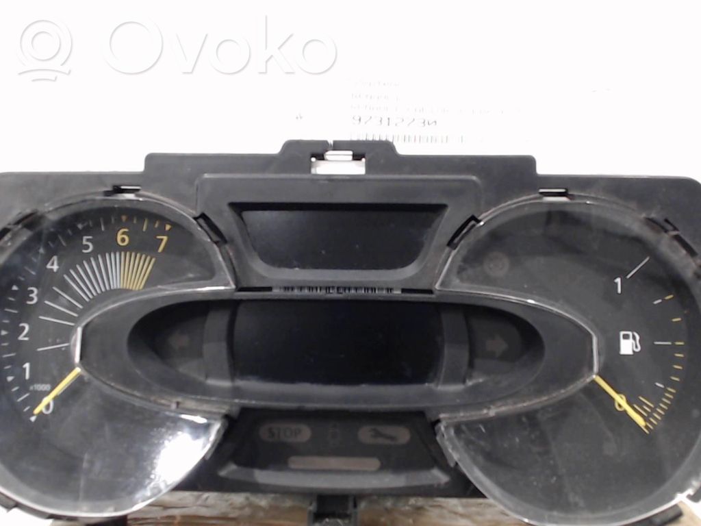 Speedometer (instrument cluster)   248100202R