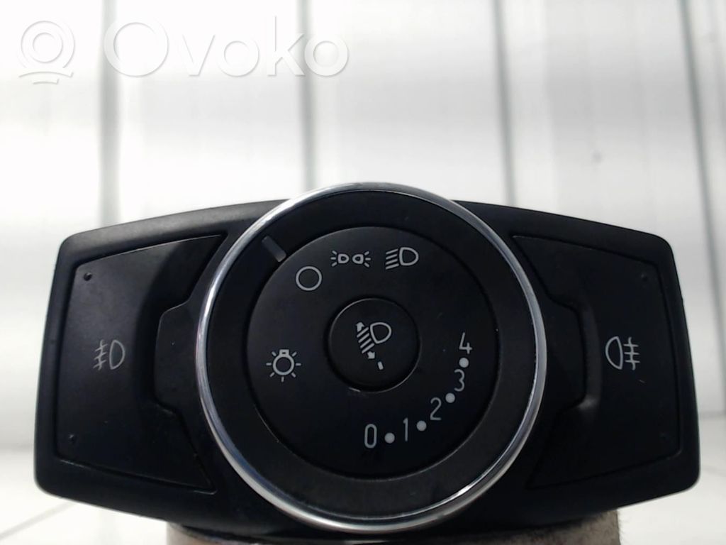 Indicator stalk   1876432
