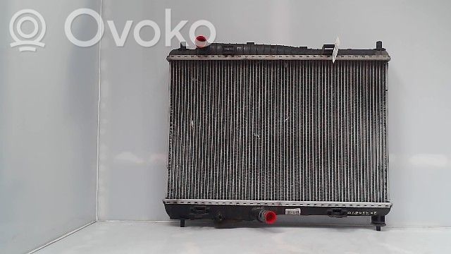 Ford Fiesta Radiator lichid răcire 