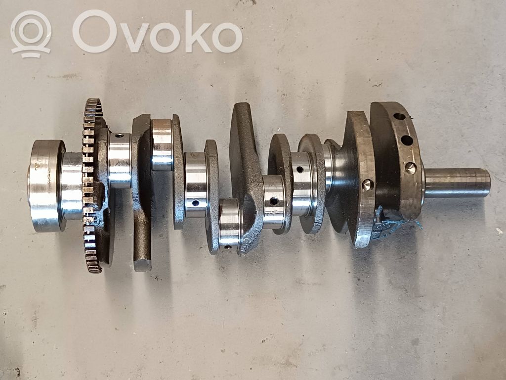 Kloķvārpsta   04893948AB