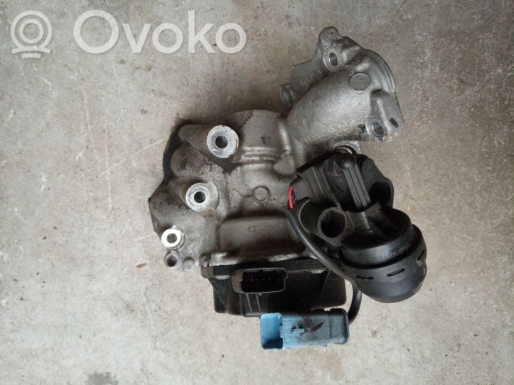 EGR-venttiili   9771398180,V29002699DV0L