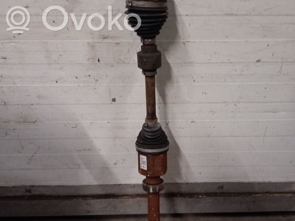 Priekinis pusašis   391009510R,00622P8