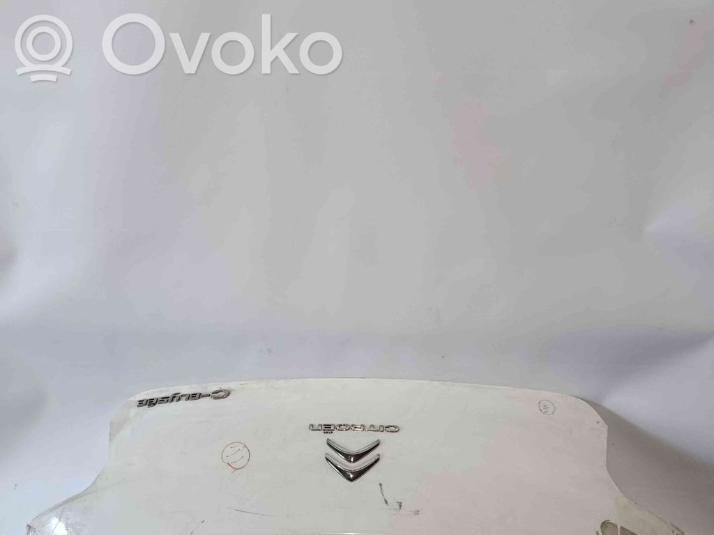 Tailgate/trunk/boot lid