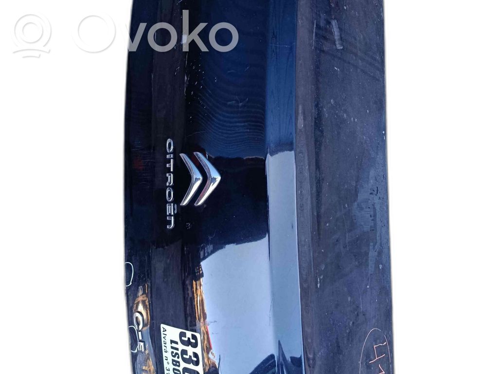 Tailgate/trunk/boot lid