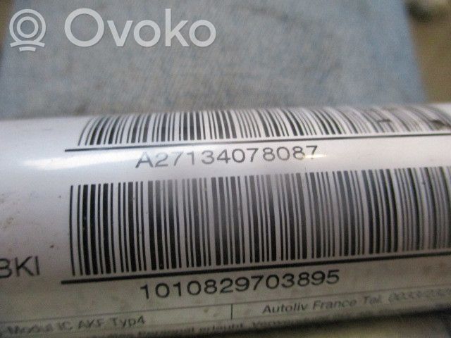 Kopfairbag   A27134078087
