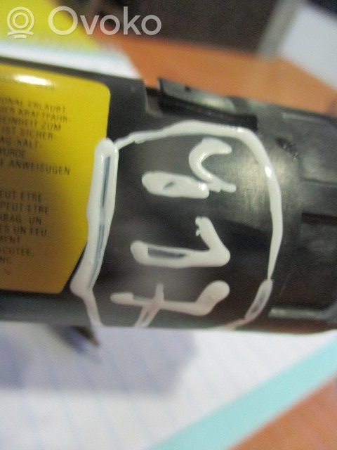 Airbag del techo   50506970,DRT