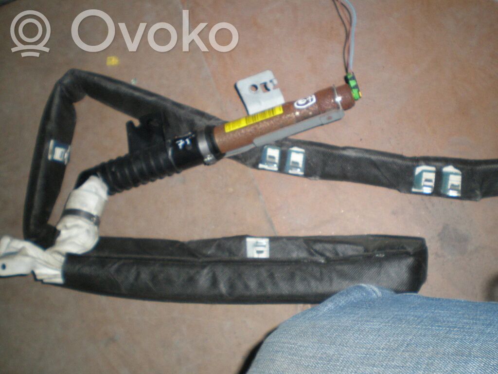 Airbag del techo   8200130500,ESQ