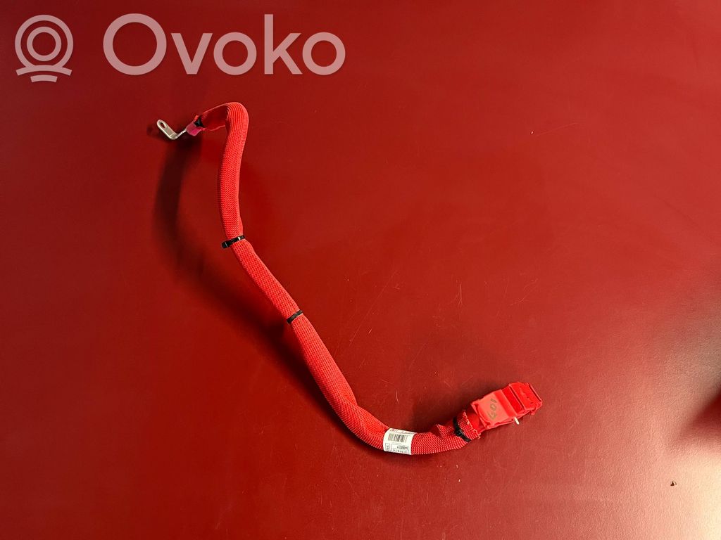 BMW X3 G01 Positive cable (battery) 