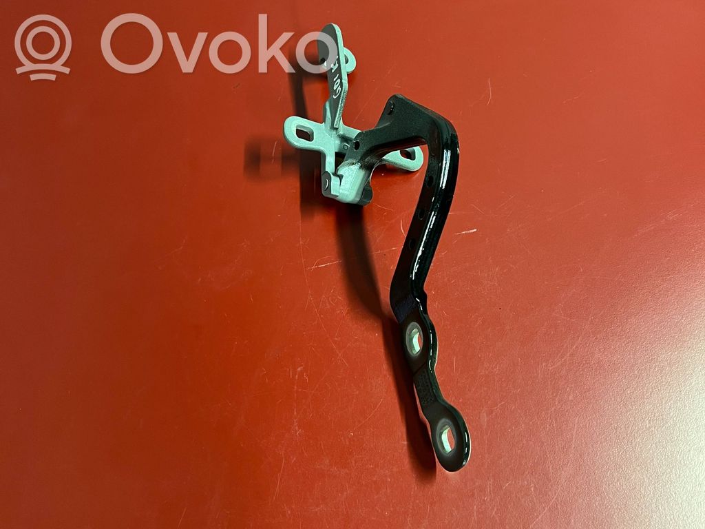 Tailgate/trunk/boot hinge   7397315,LS03