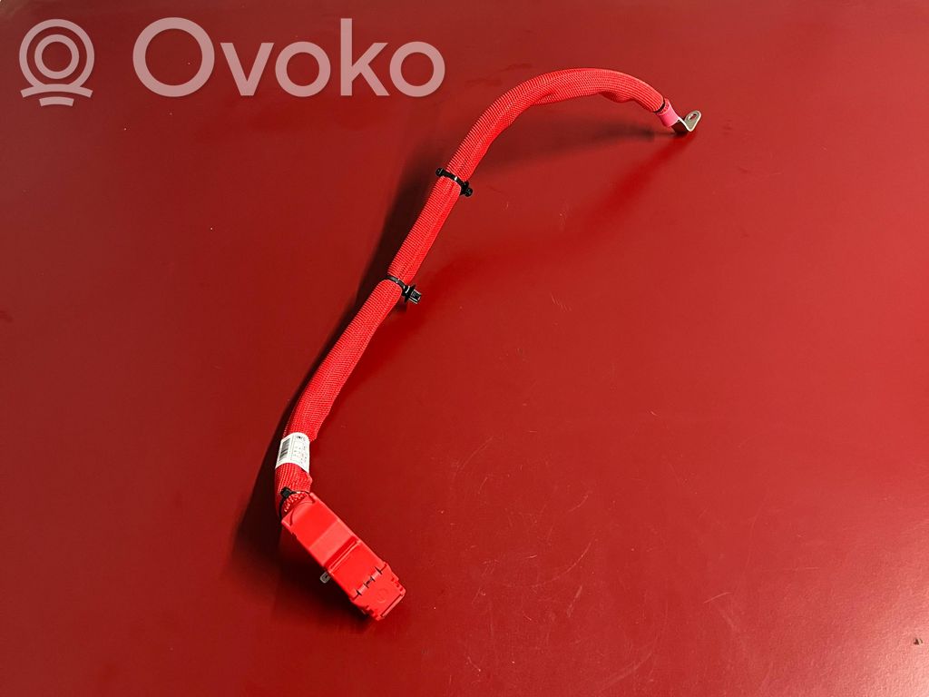 BMW X3 G01 Positive cable (battery) 