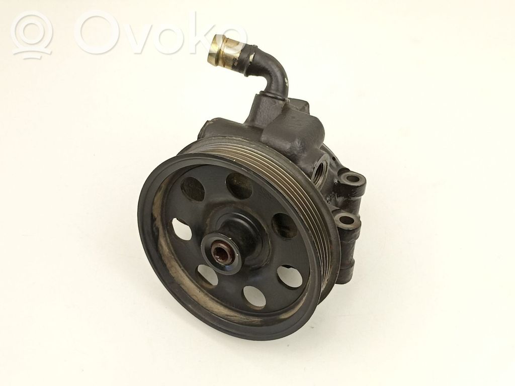 Servopumpe   1M513A696CC,1371089