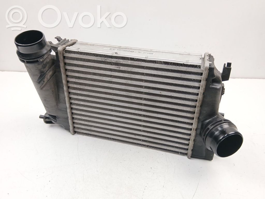 Nissan Qashqai Aušinimo skysčio radiatorius 