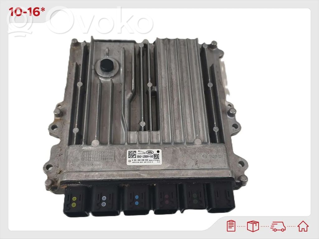 Engine control unit/module   R8A212B684KAB,0281040038