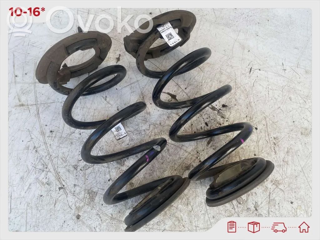 Rear coil spring   1044472
