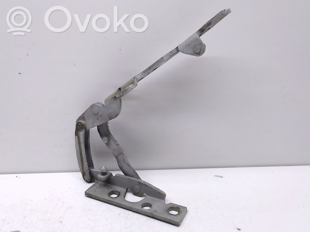 BMW X5 E53 Engine bonnet/hood hinges 