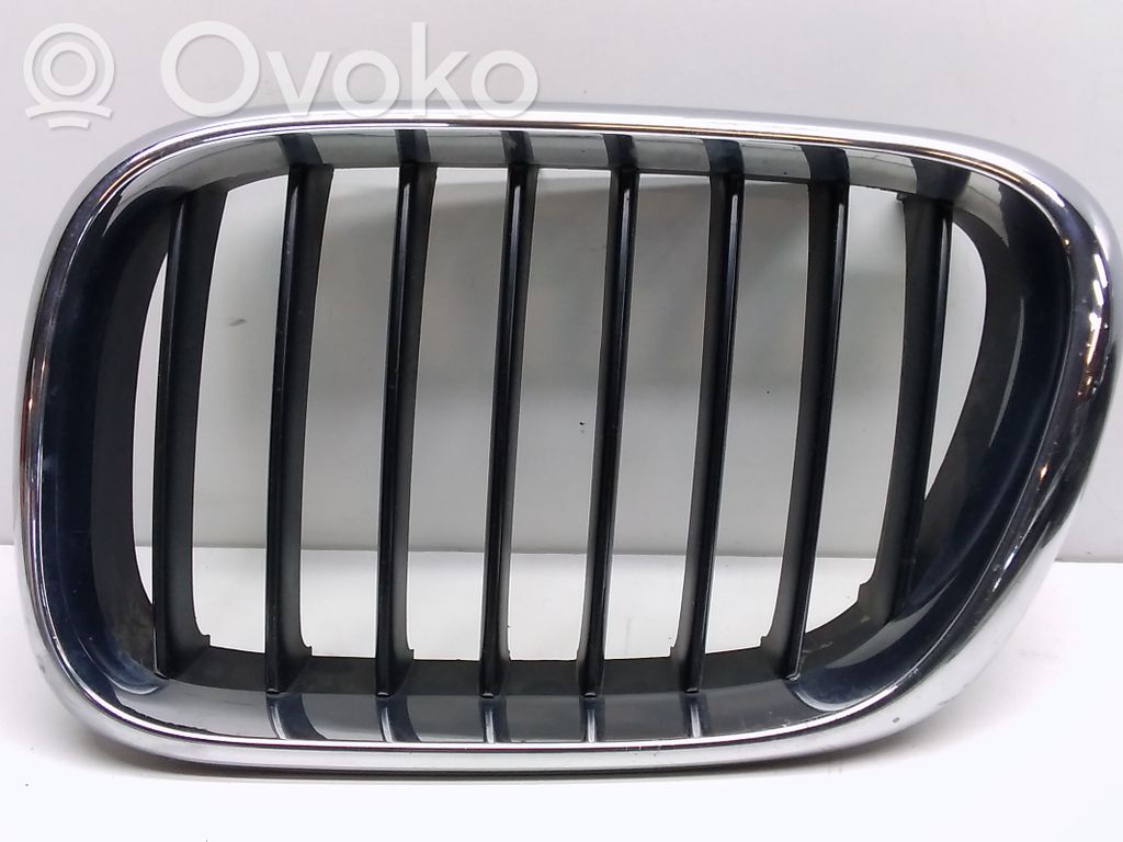 BMW X5 E53 Front bumper upper radiator grill 
