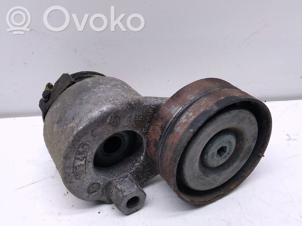 Renault Laguna I Generator/alternator belt tensioner 