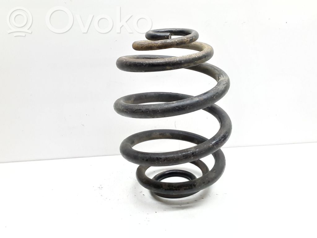 Rear coil spring