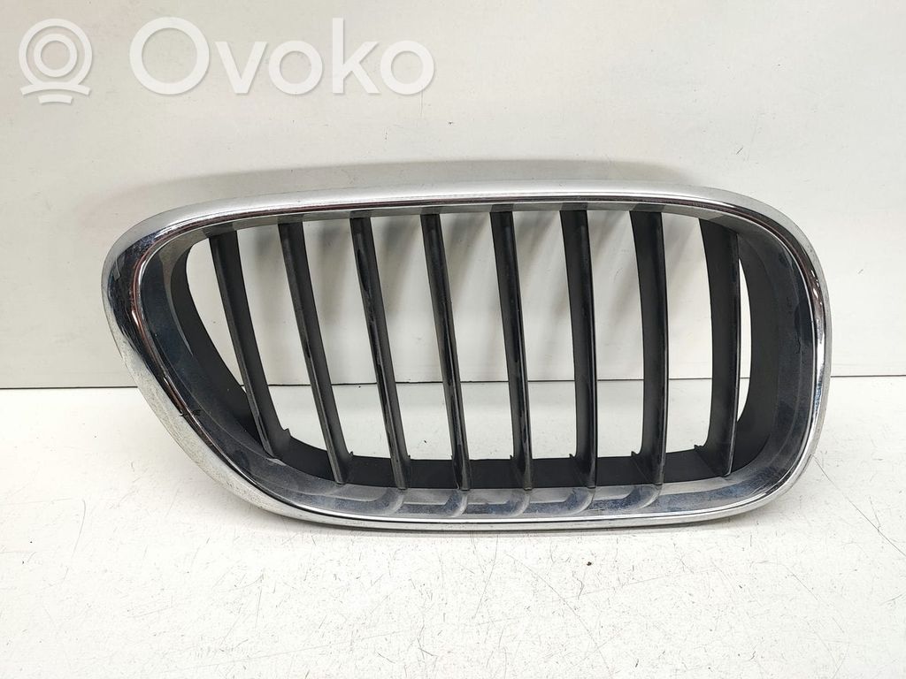 BMW X5 E53 Front bumper upper radiator grill 