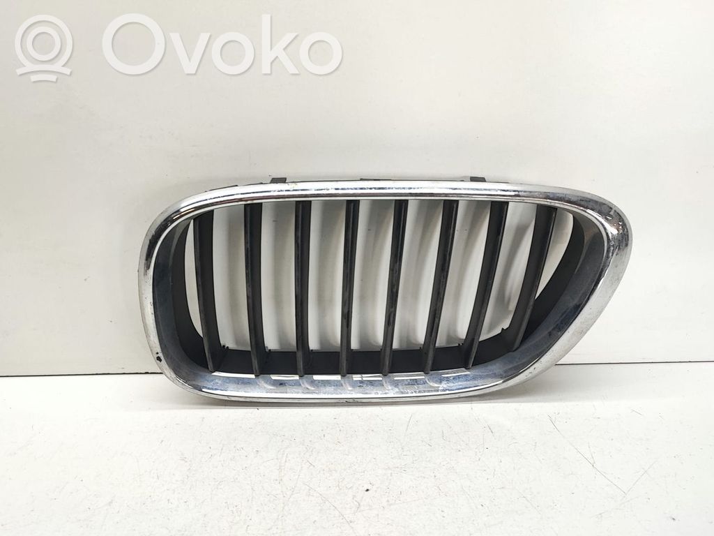 BMW X5 E53 Front bumper upper radiator grill 