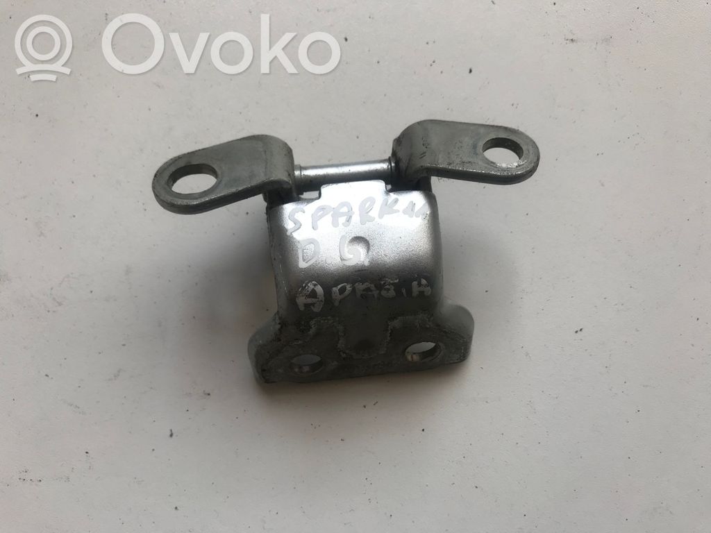 Chevrolet Spark Rear door lower hinge 