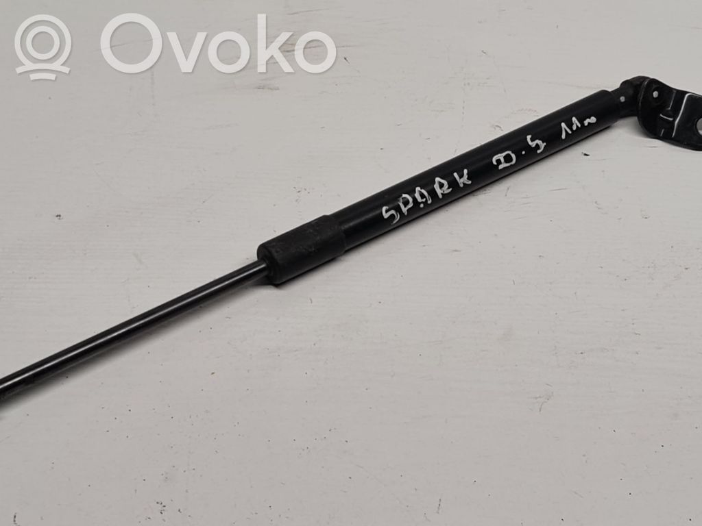 Tailgate/trunk strut/damper   95962016