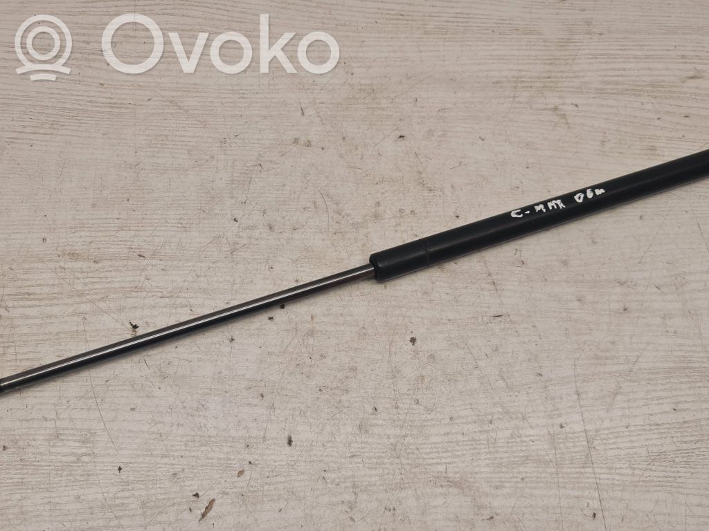 Ford Focus C-MAX Tailgate/trunk strut/damper 