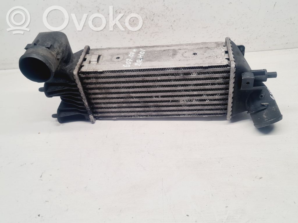 Peugeot 607 Intercooler radiator 