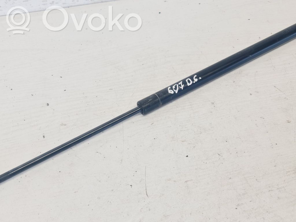 Amortyzator klapy tylnej bagażnika   8731F9,S102404