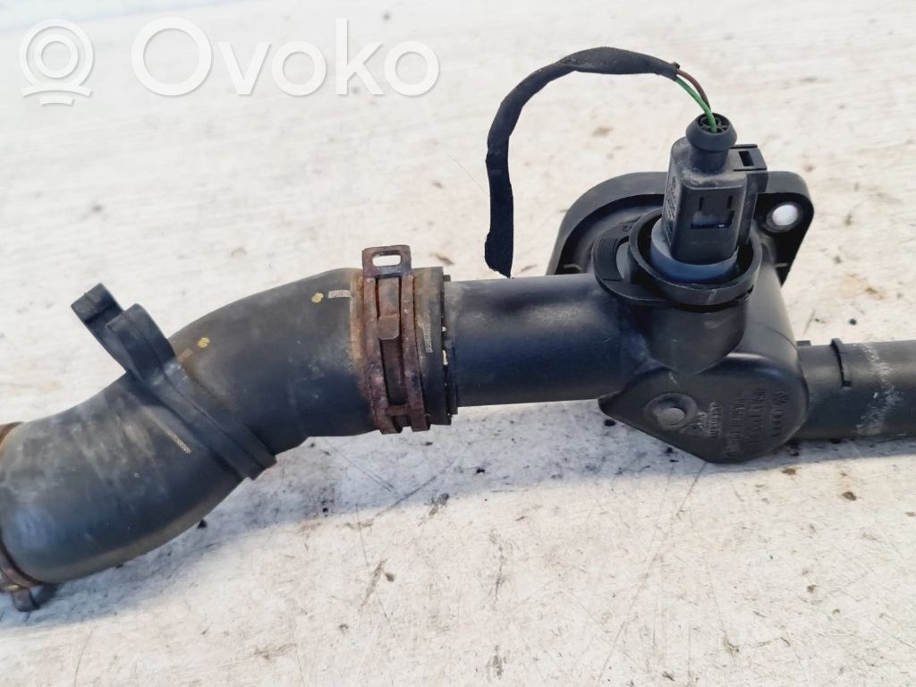 Audi A3 S3 8P Przewód / Wąż chłodnicy 