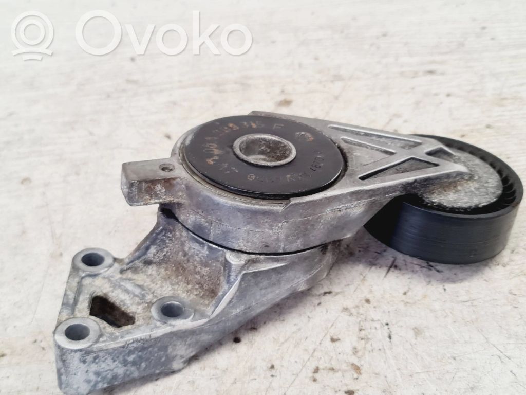 Diržo įtempėjas   06A903315F,487000