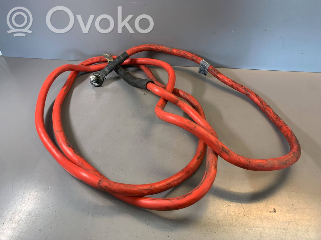 Câble de batterie positif   6961018,800301908