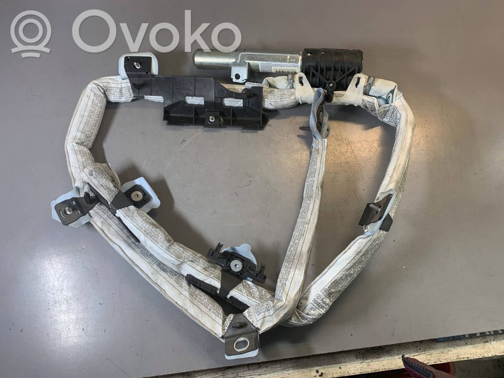 Airbag del techo   846966645003H