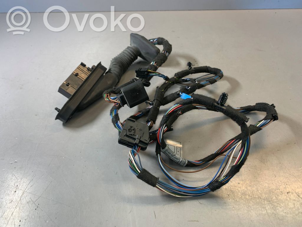 Cableado de puerta delantera   6928651