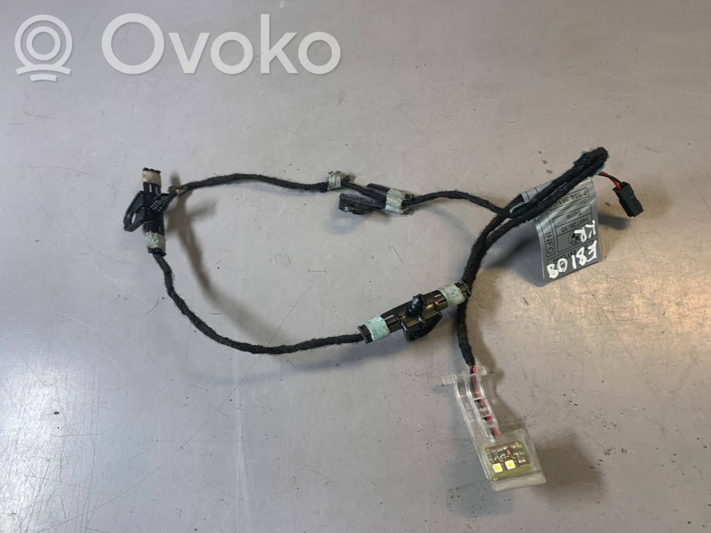 BMW 1 E81 E87 Front door handle light (exterior) 